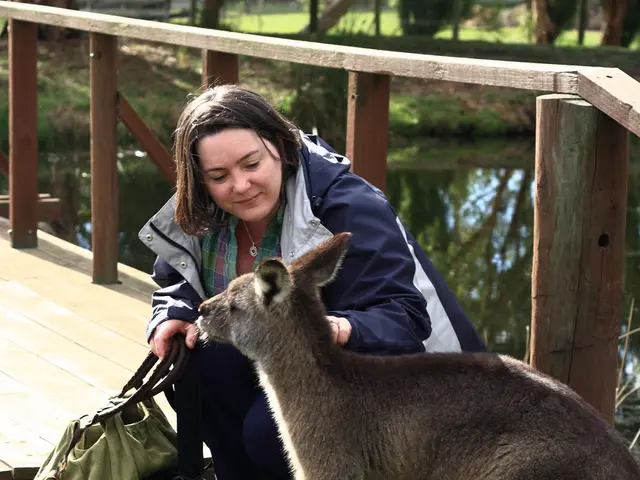 Strategies for Incorporating Indigenous Narratives in Education, Capitalizing on Ancient Knowledge