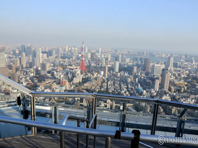 Trump's recent actions exhibit a pattern of targeting large Democrat-led urban areas, exerting...