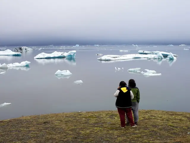 Exploration of Iceberg Mass Composition