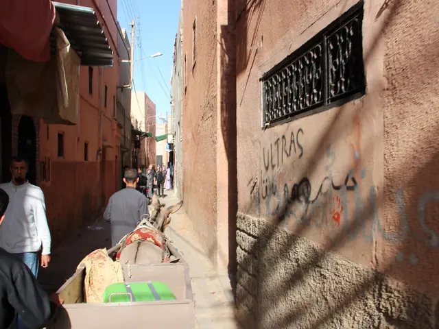 World Champion Racing Driver Lewis Hamilton voices his condemnation of the Gaza crisis as a...