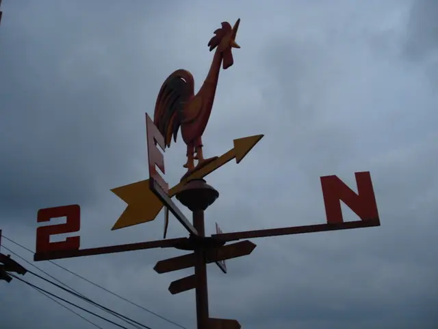 Exploring Magnetism Basics: Discovering the Essential Components of Magnetism