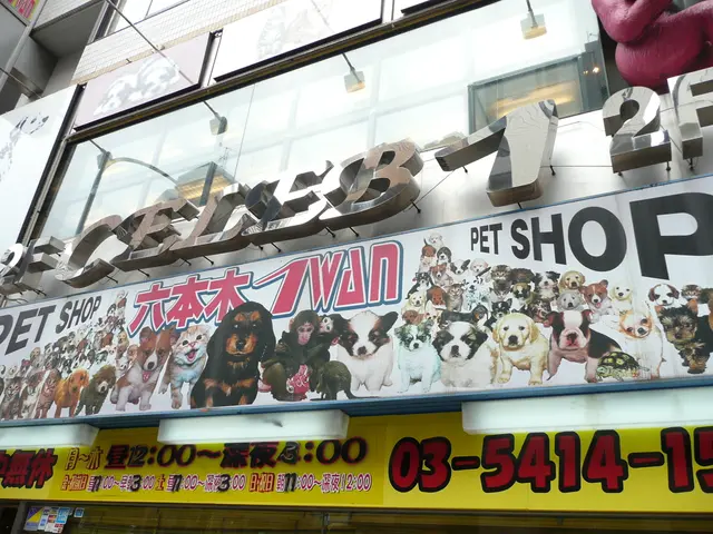 Differences in Perspective: Wealth vs. Poverty Mentality