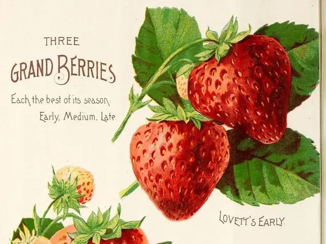 Examining the Basics of the U.S. Economy for Elementary School Students