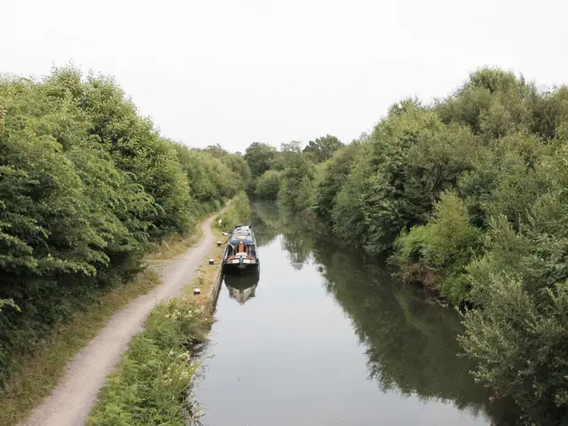 As we can see in the image there are trees, water, boat, grass and sky.