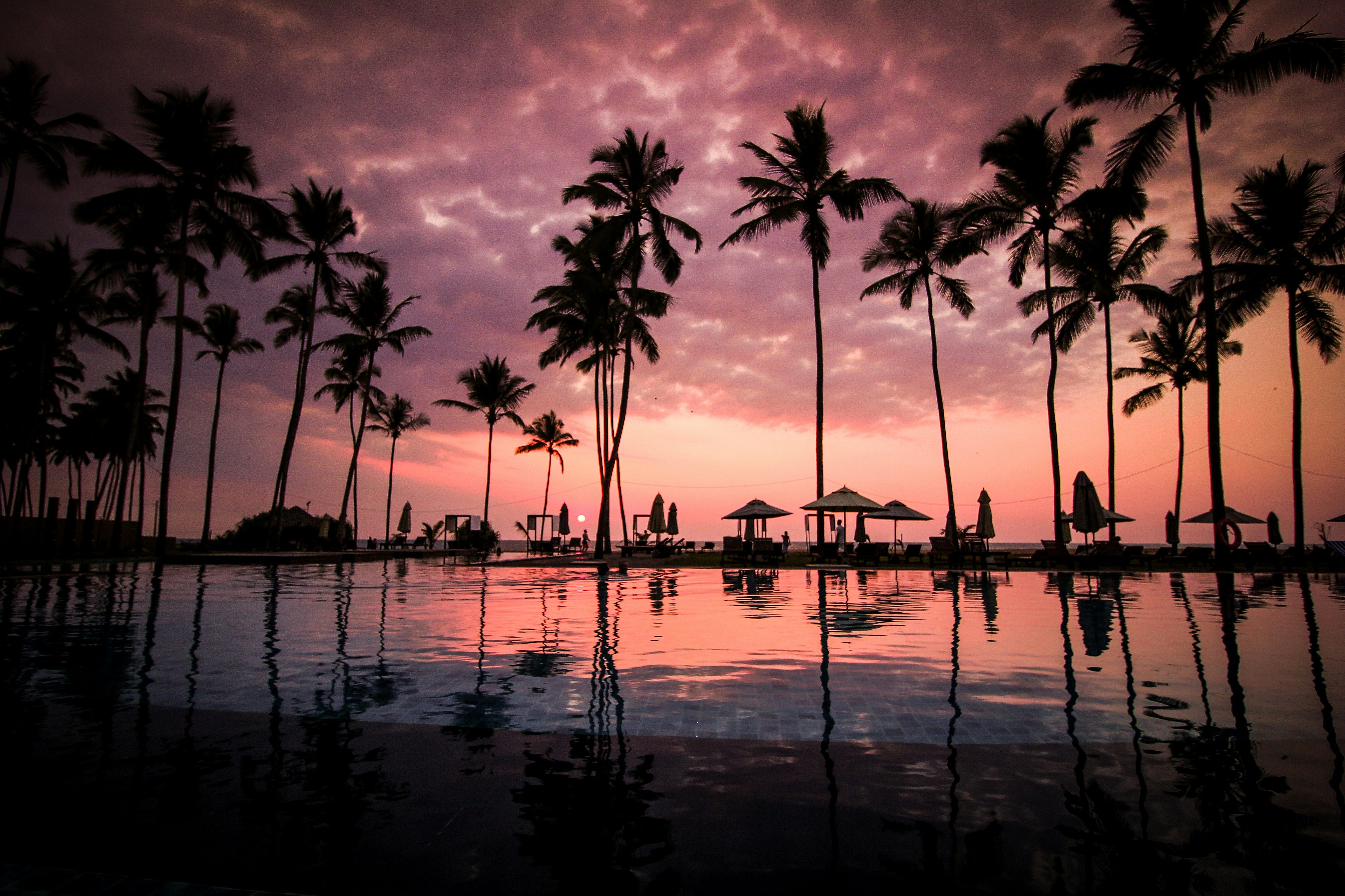 Navigating life's journey can be a challenging endeavor, often requiring numerous trials, errors,...